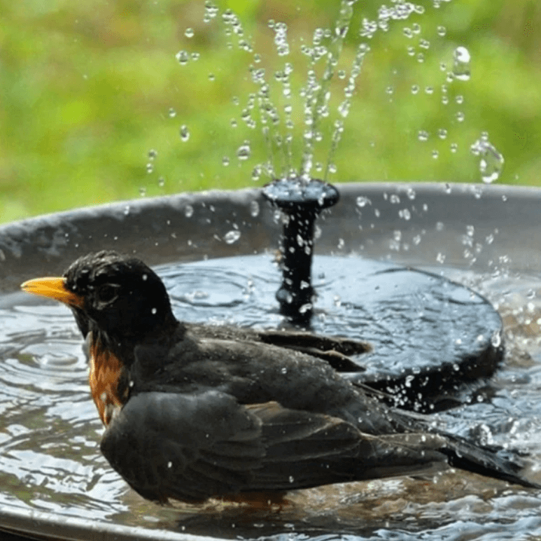 LED Solar Water Fountain Pump