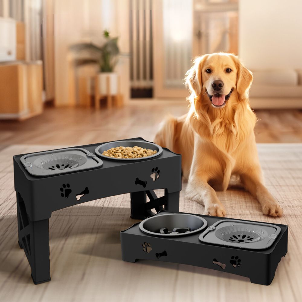 Raised Dog Slow Feeder Bowl
