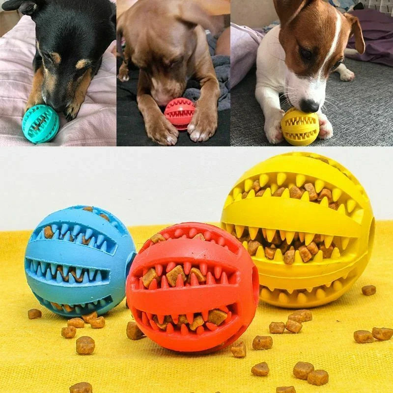 Interactive Treat-Dispensing Rubber Ball
