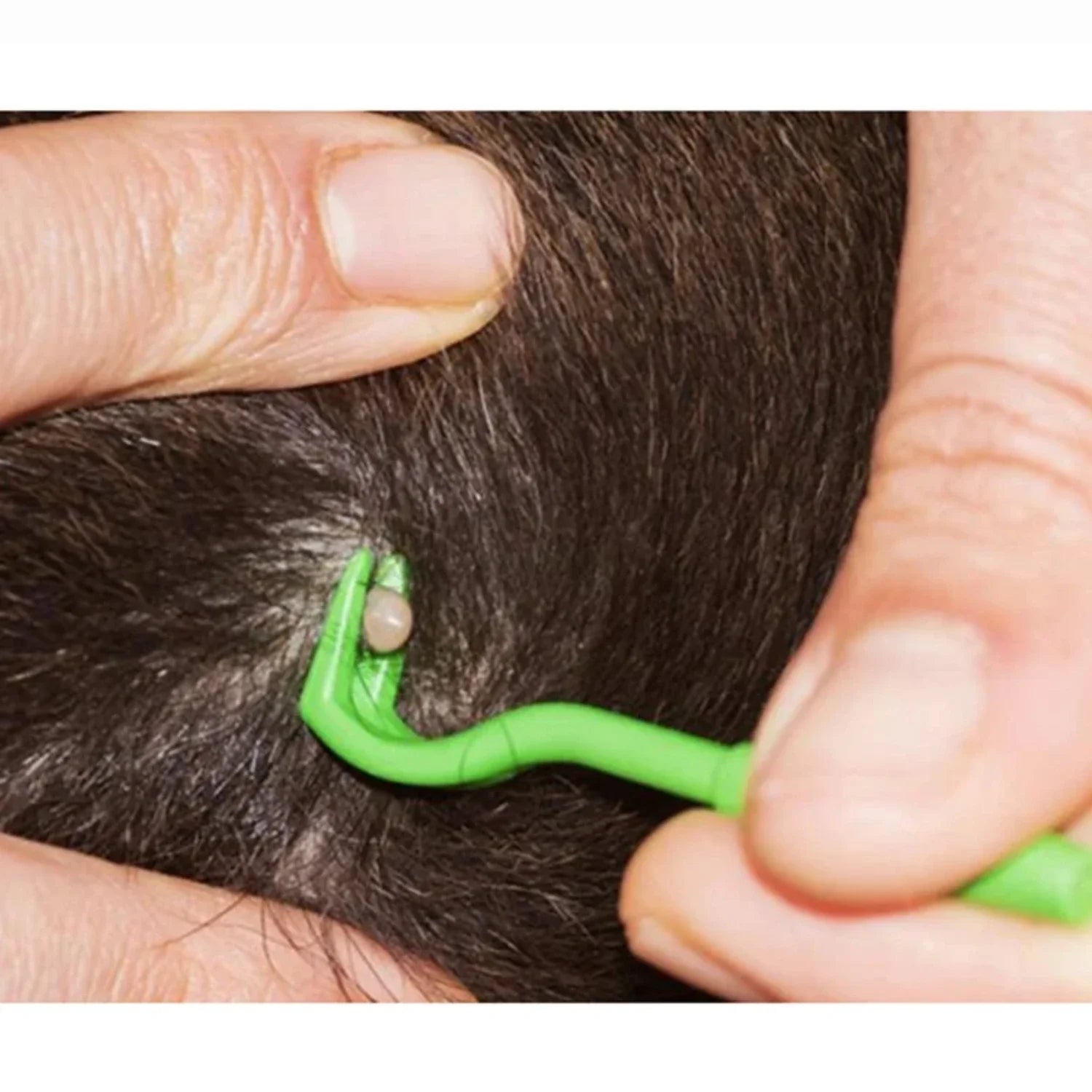 Pet Tick Removal Tool for Dogs & Cats