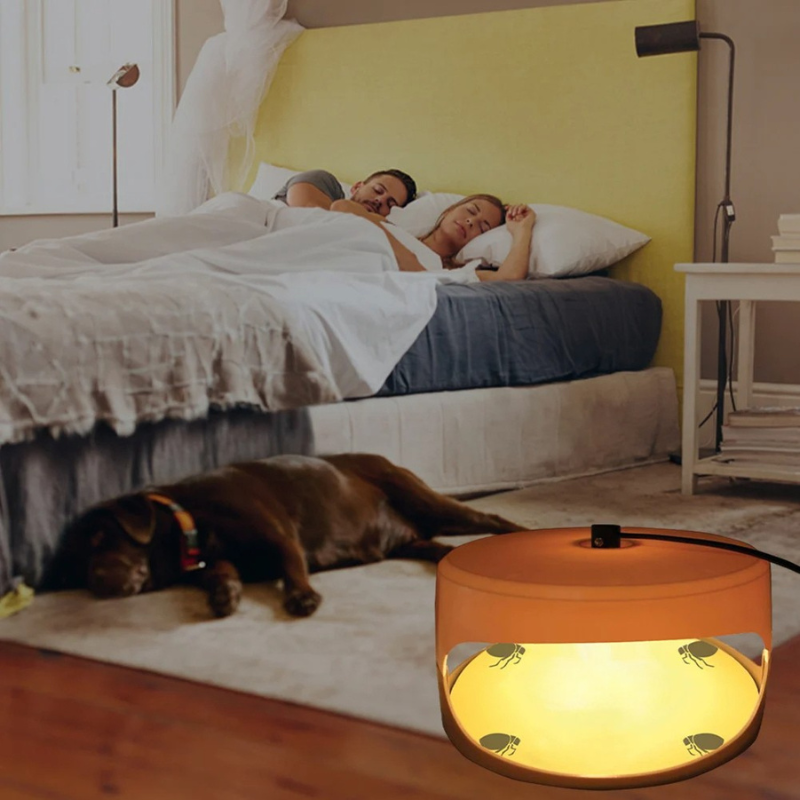 Reusable Indoor Bed Bug Interceptor Traps