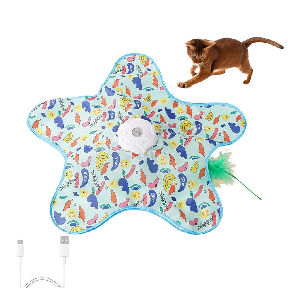 Hide and Seek Interactive Cat Toy