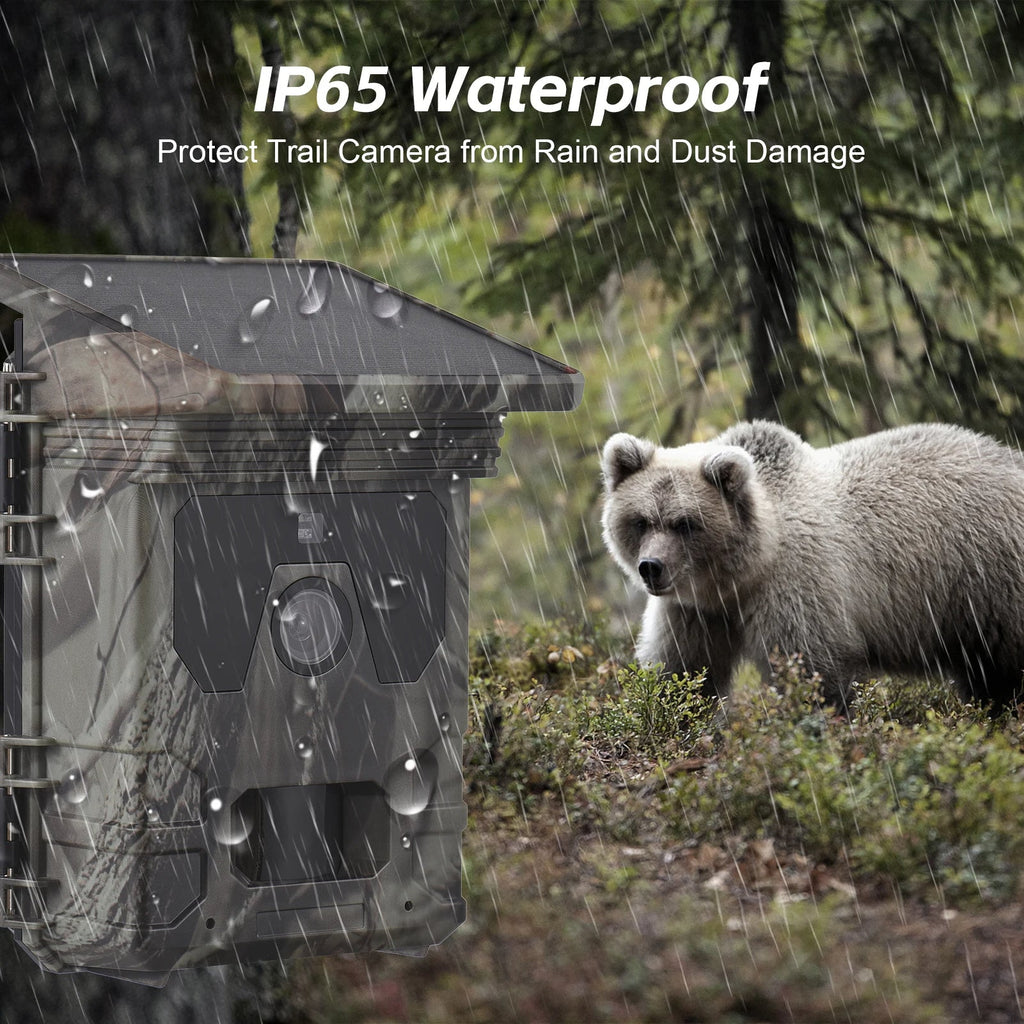 Solar Night Vision Trail Camera 4K
