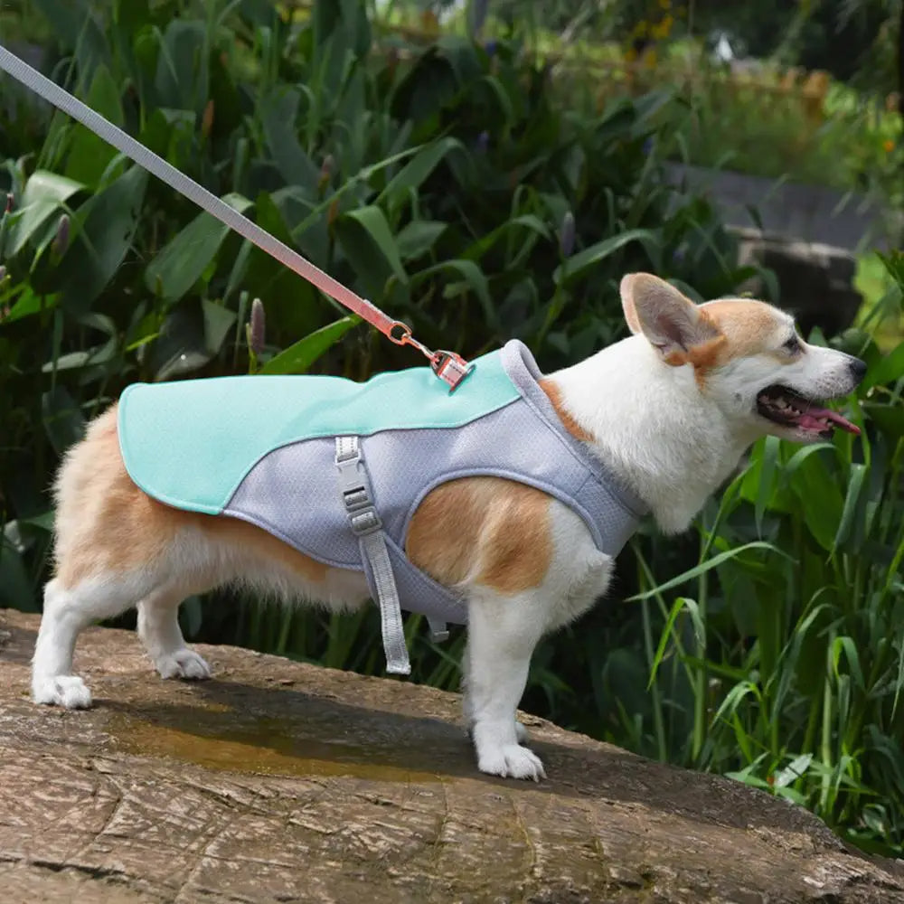 Dog Cooling Vest for Outdoor Walks