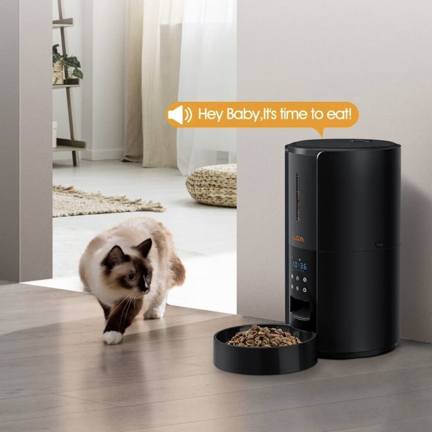 Large Automatic Dog & Cat Food Feeder