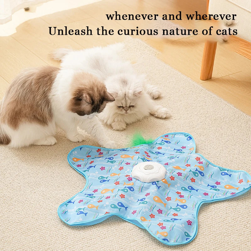 Hide and Seek Interactive Cat Toy
