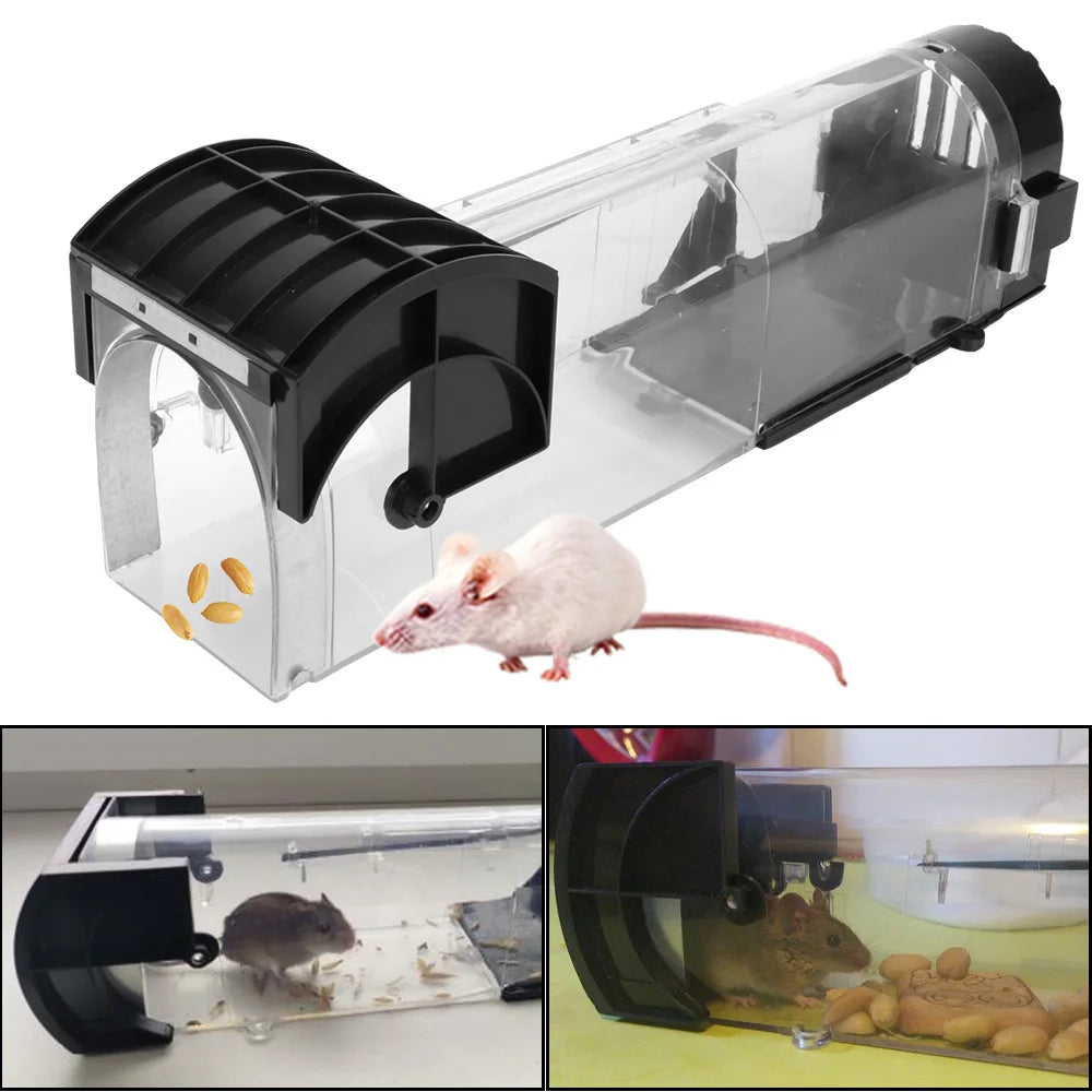 Reusable Humane Mouse Trap