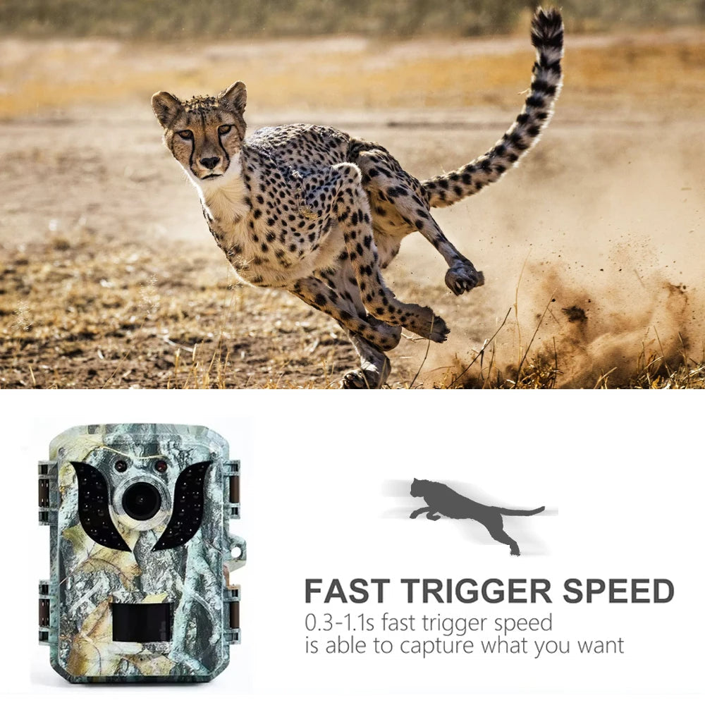Compact HD Infrared Wildlife Camera