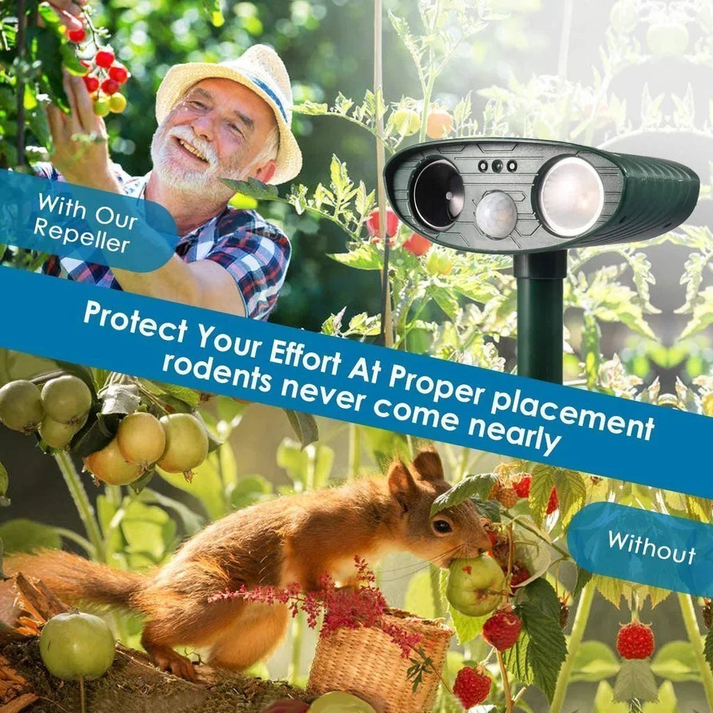 Solar Ultrasonic Chipmunk Repeller