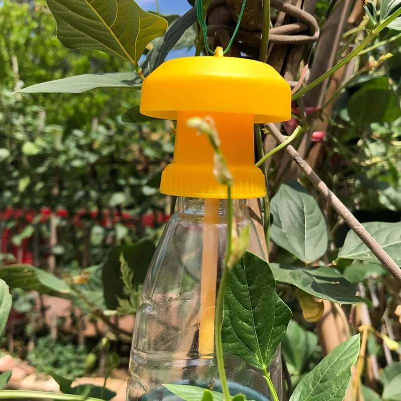 Reusable Fruit Fly Trap with Hanging Cover