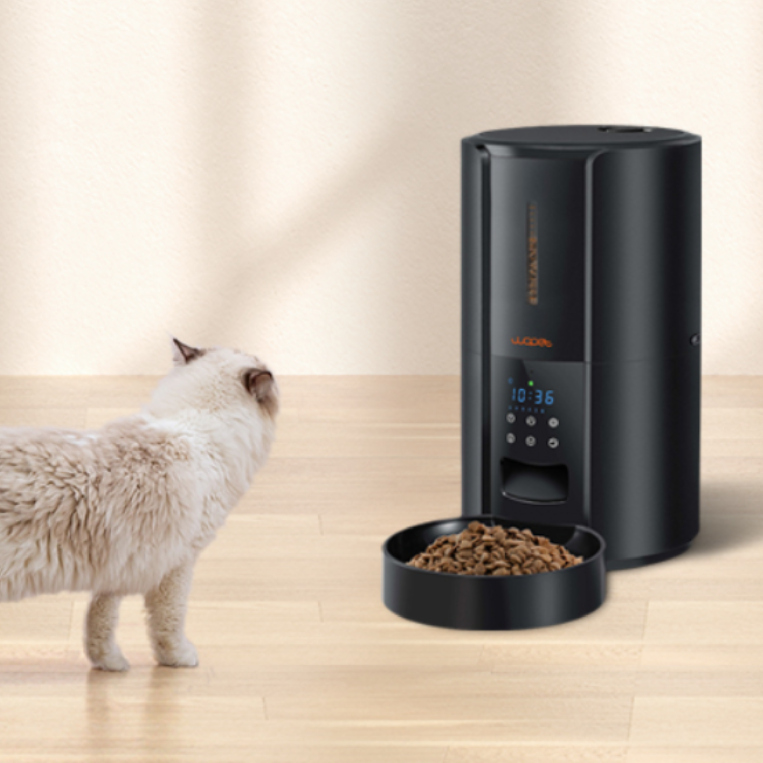Large Automatic Dog & Cat Food Feeder
