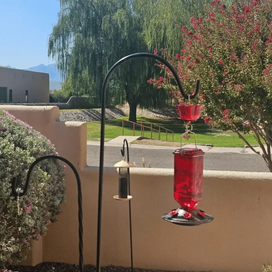 24oz Leak-Proof Glass Hummingbird Feeder