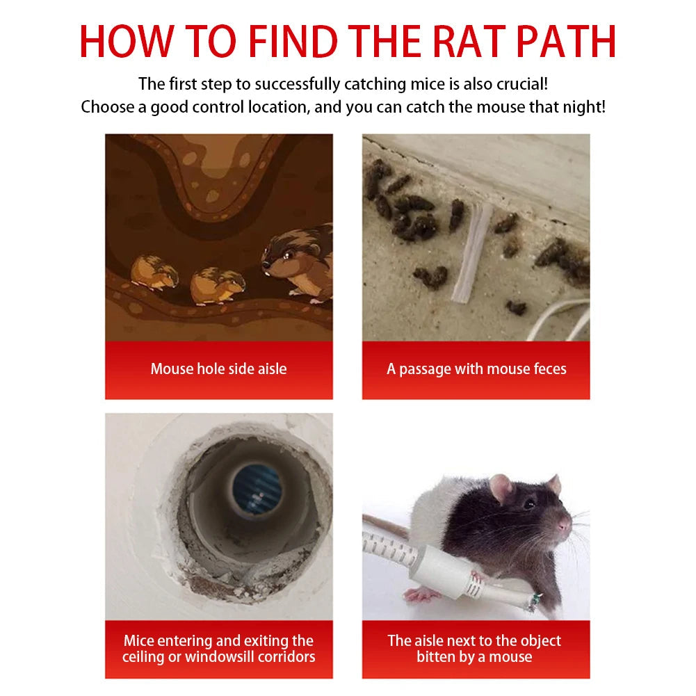 Reusable Sliding-Door Mouse Trap Cage