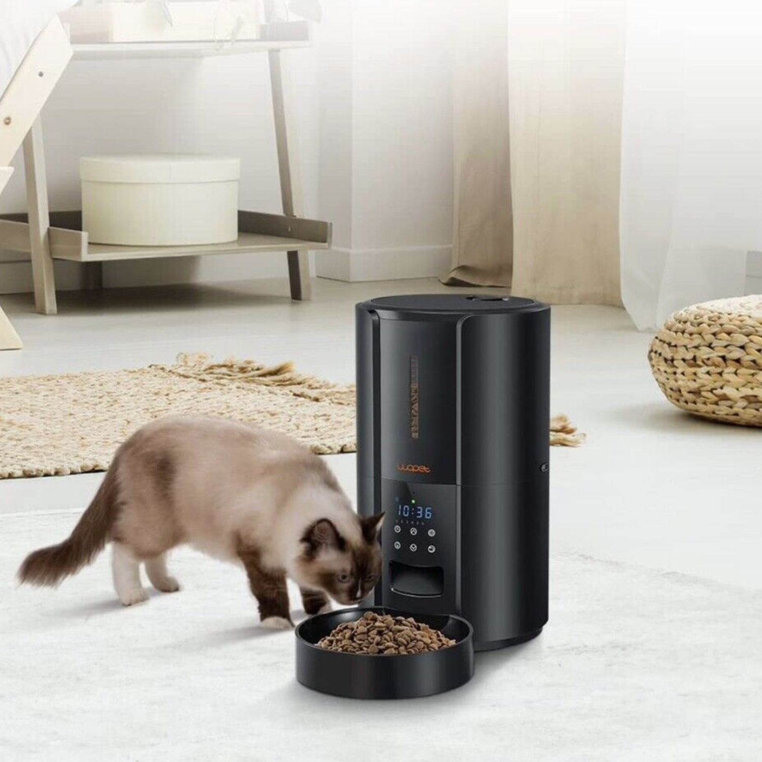 Large Automatic Dog & Cat Food Feeder