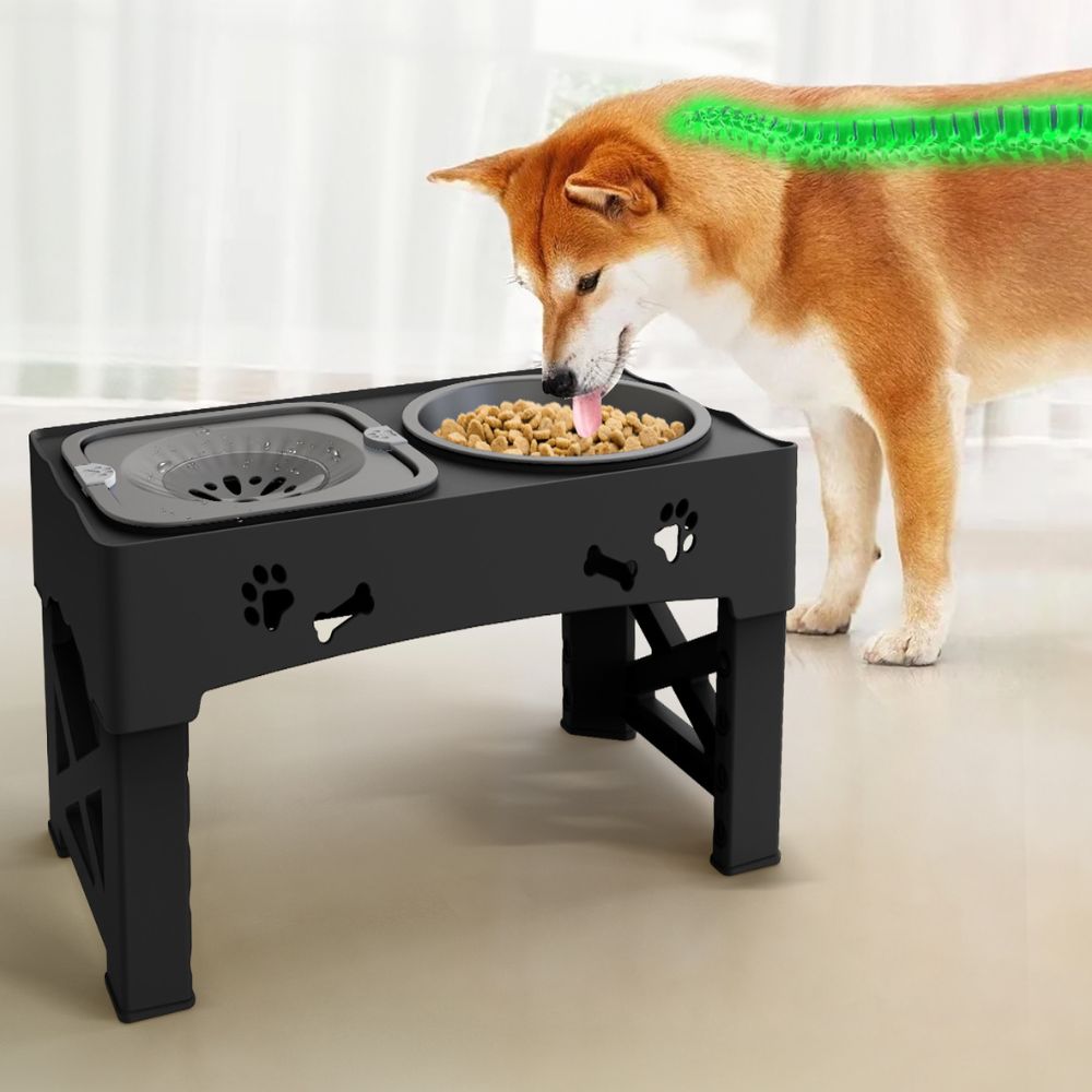 Raised Dog Slow Feeder Bowl