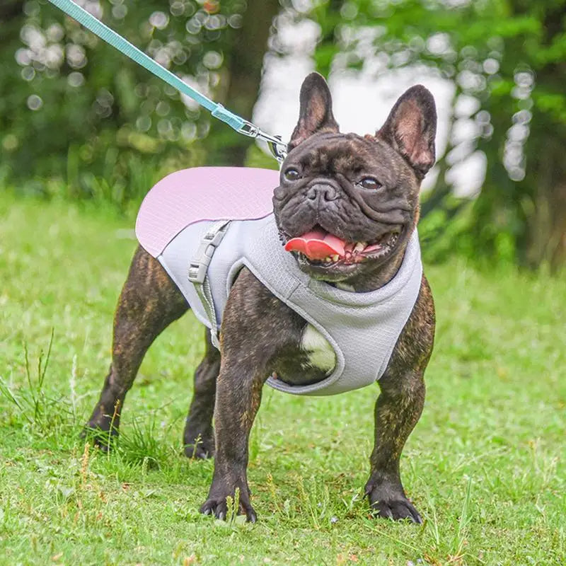 Dog Cooling Vest for Outdoor Walks