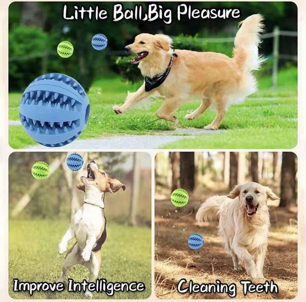 Interactive Treat-Dispensing Rubber Ball