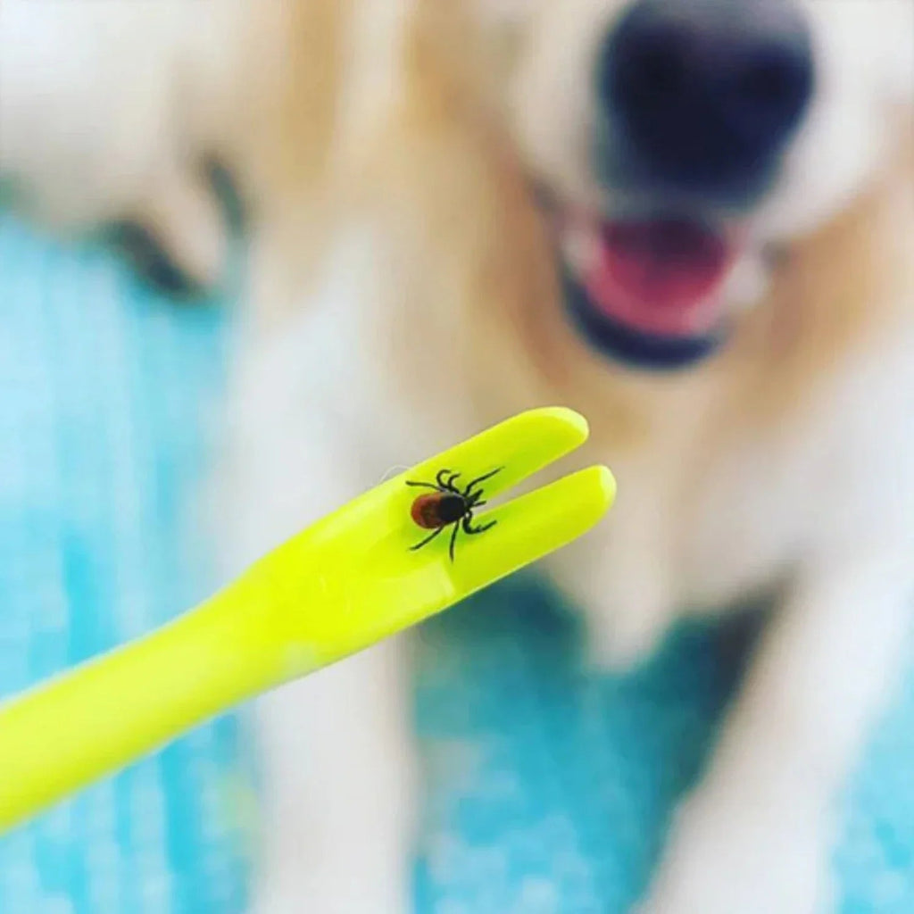 Pet Tick Removal Tool for Dogs & Cats