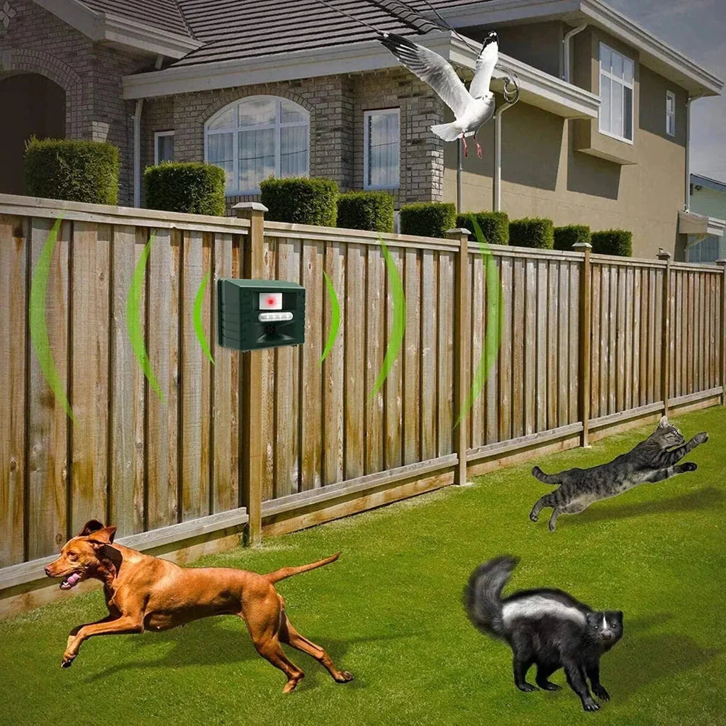 Solar Ultrasonic Woodpecker Repeller