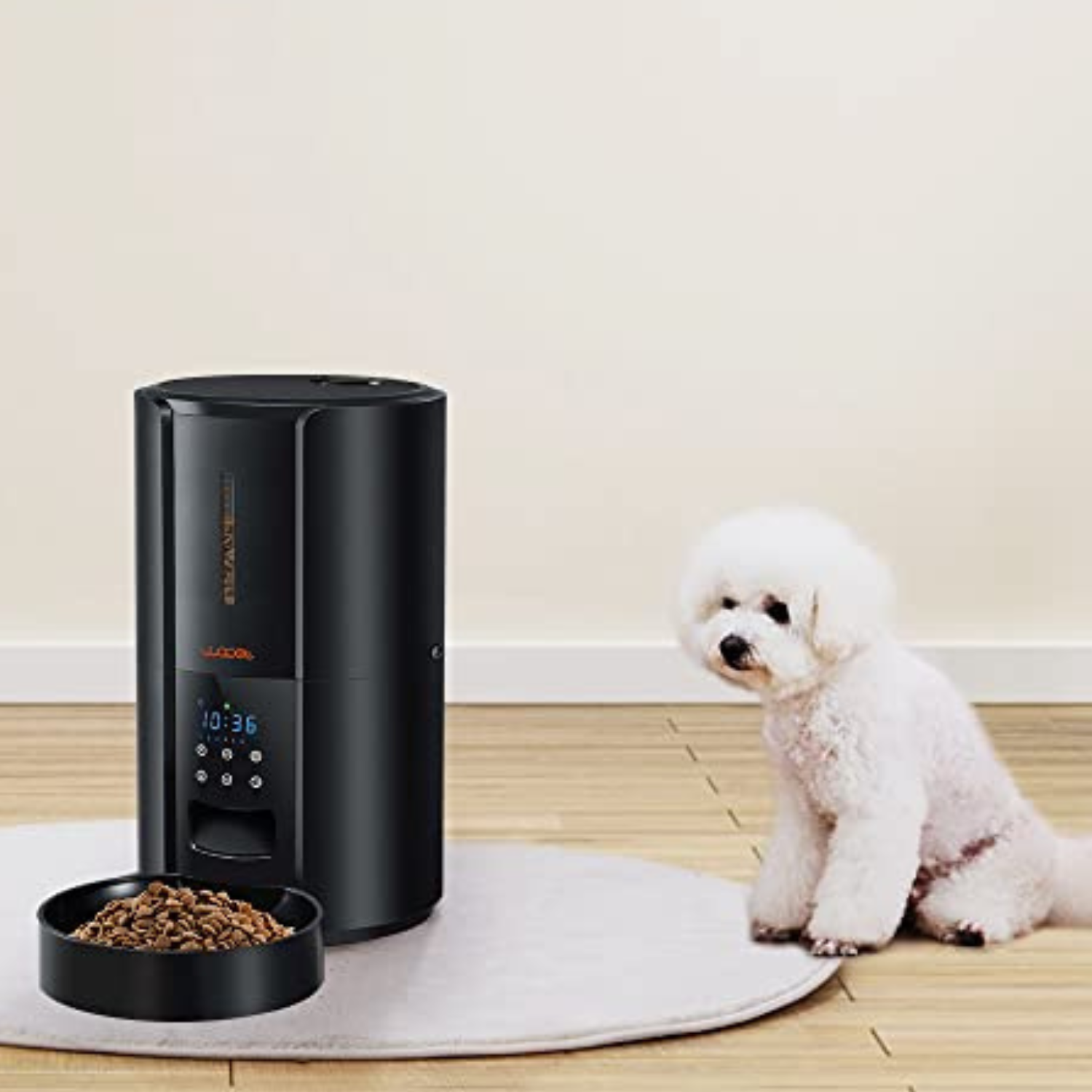 Large Automatic Dog & Cat Food Feeder