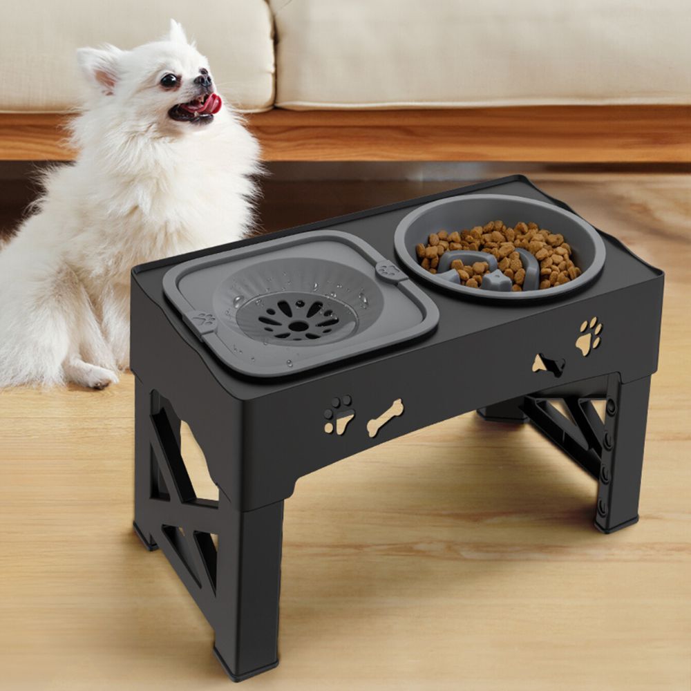 Raised Dog Slow Feeder Bowl