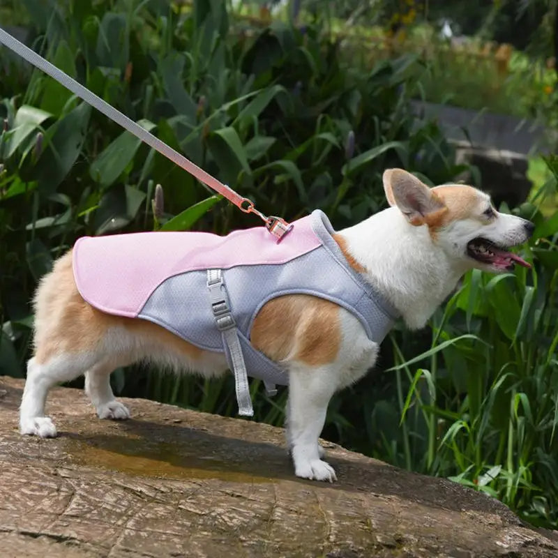 Dog Cooling Vest for Outdoor Walks