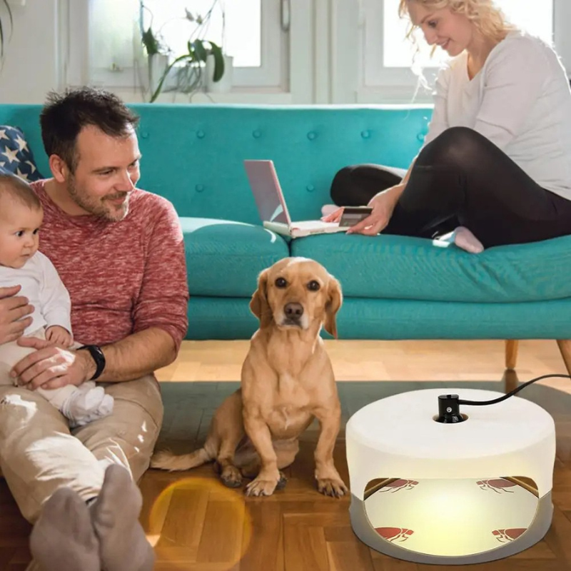 Reusable Indoor Bed Bug Interceptor Traps