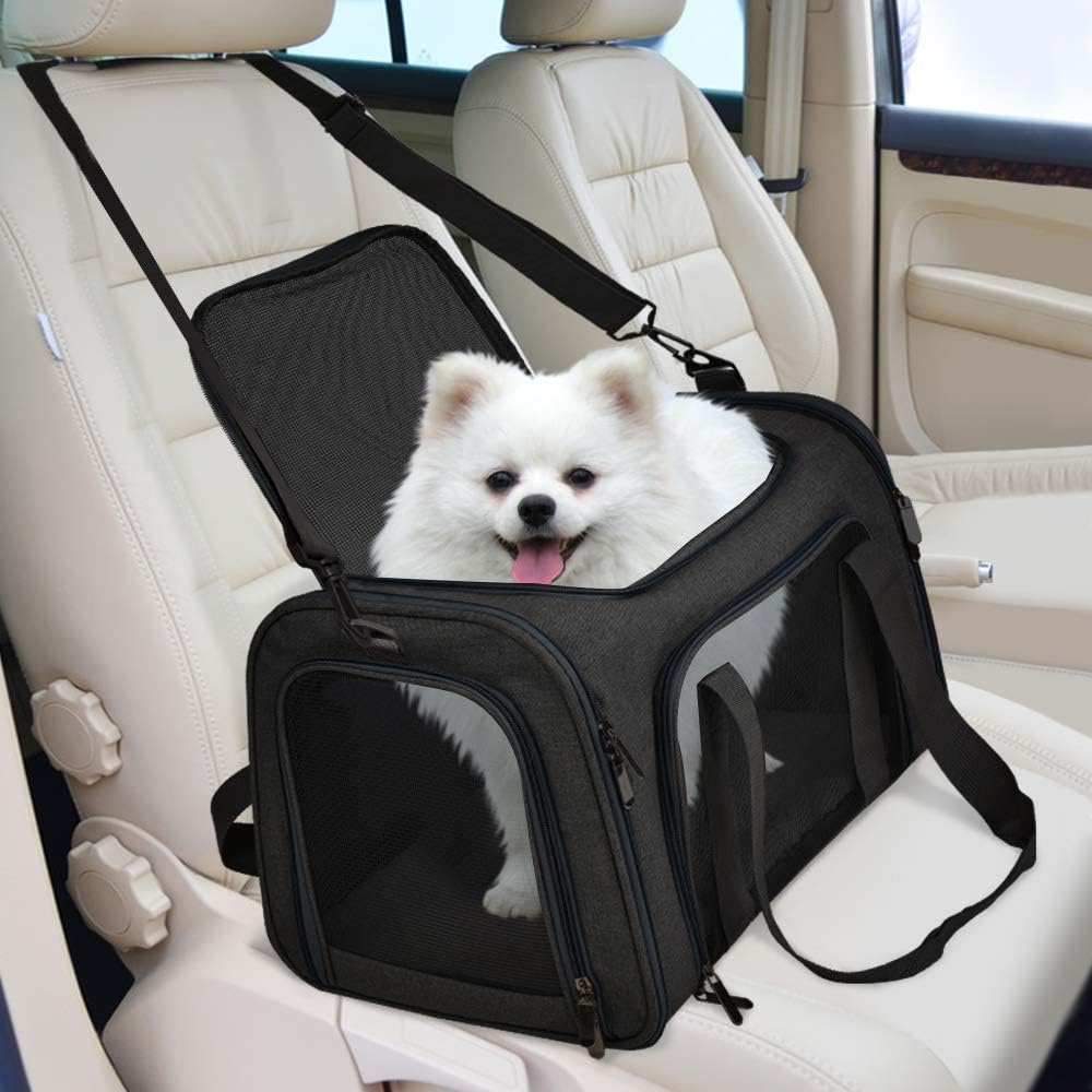 Airline-Approved Soft Dog & Cat Carrier