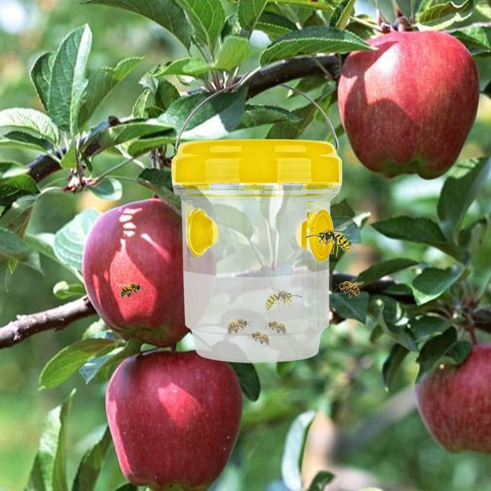 Insect Fruit Fly Traps for Kitchen