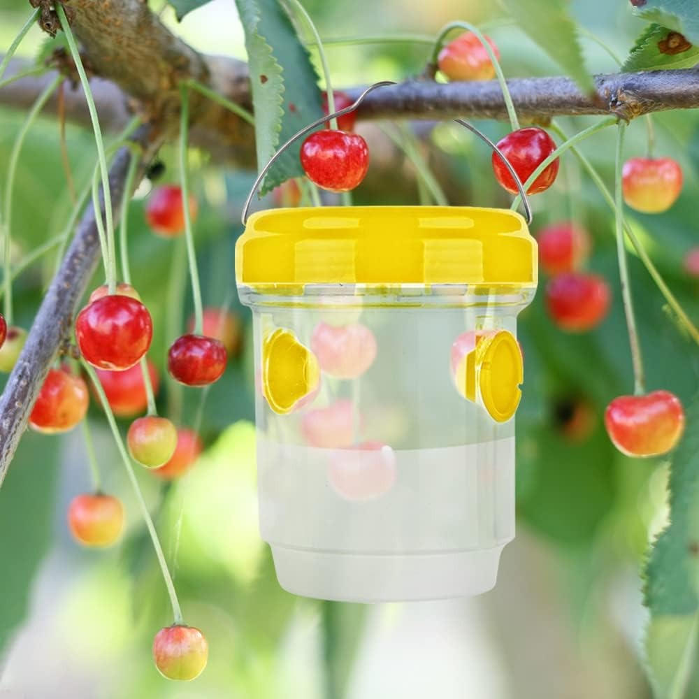 Insect Fruit Fly Traps for Kitchen