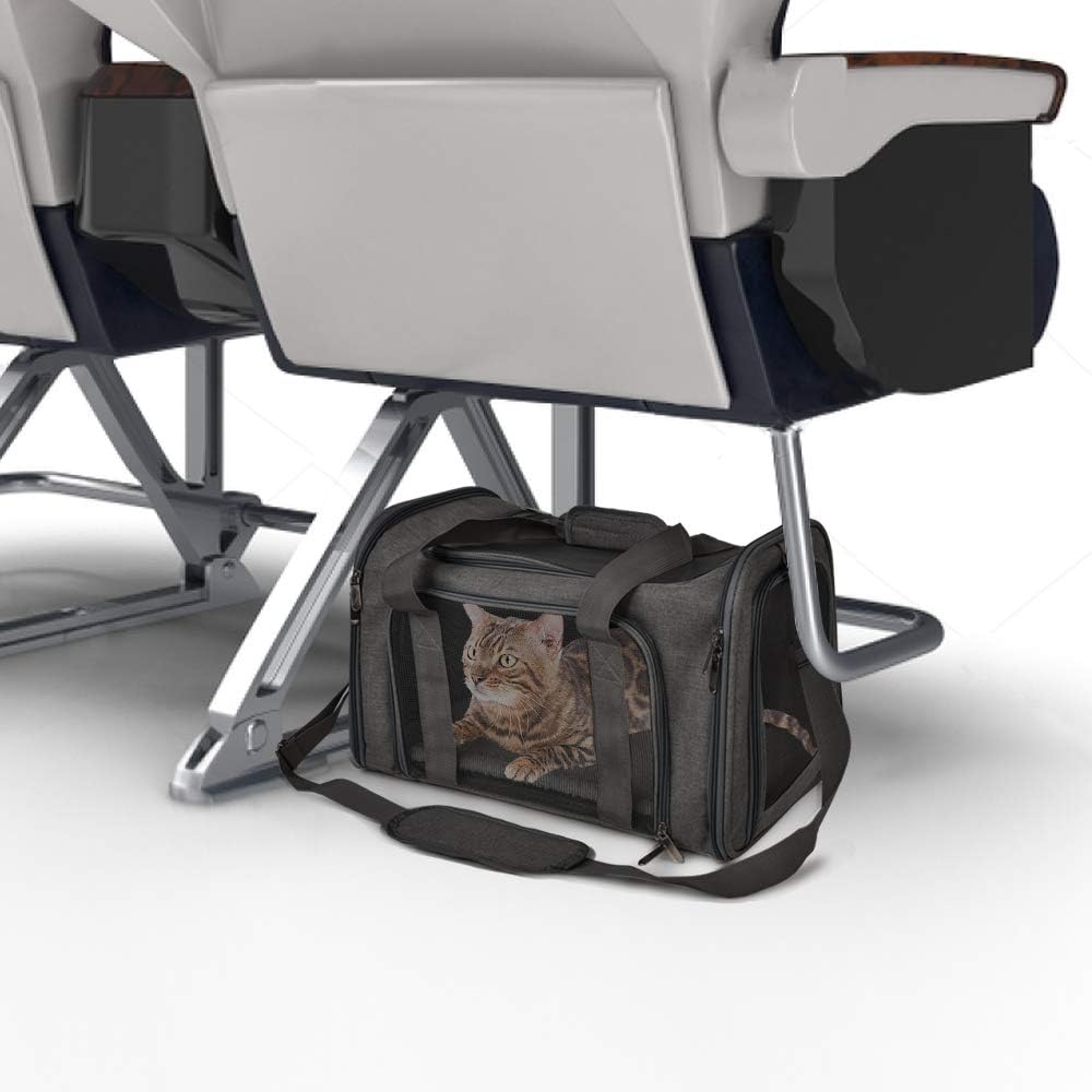 Airline-Approved Soft Dog & Cat Carrier