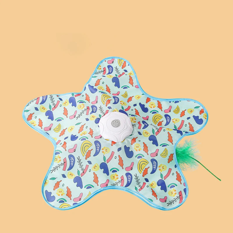 Hide and Seek Interactive Cat Toy