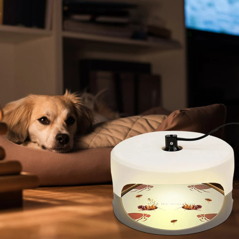 Reusable Indoor Bed Bug Interceptor Traps