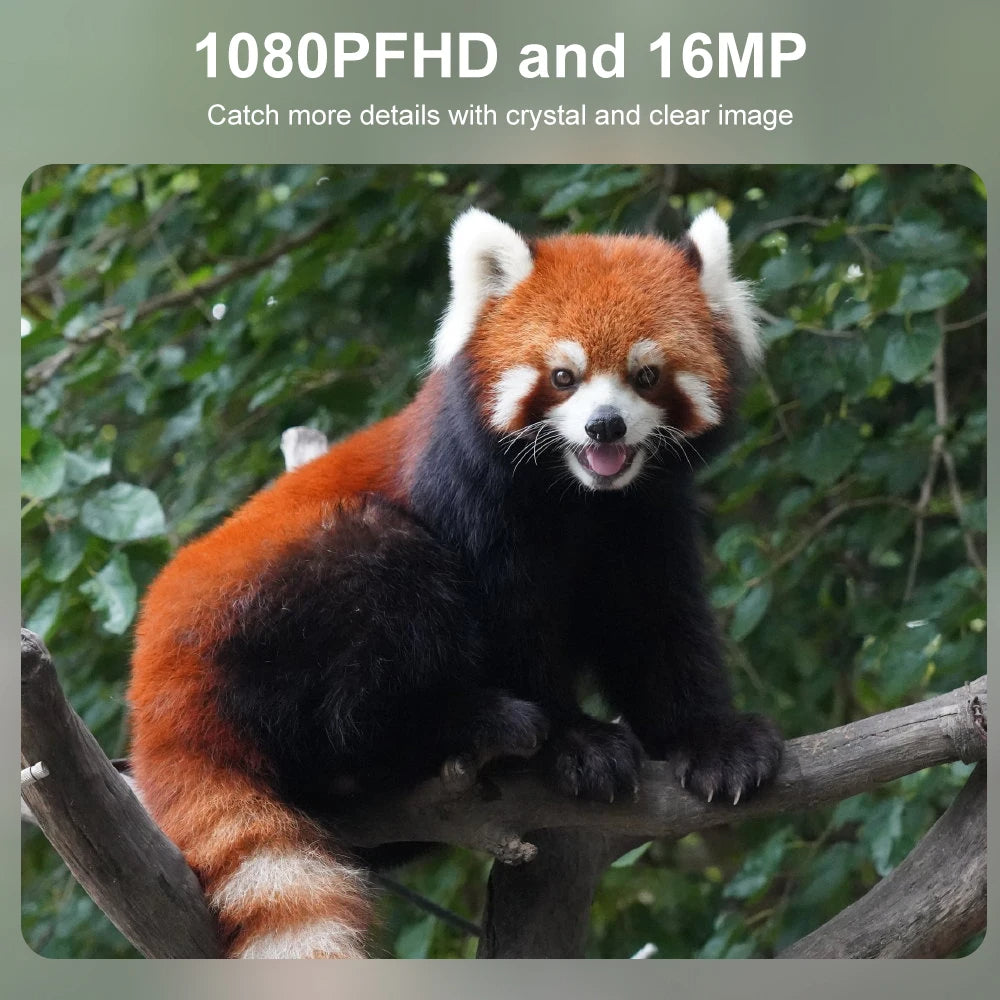Compact HD Infrared Wildlife Camera