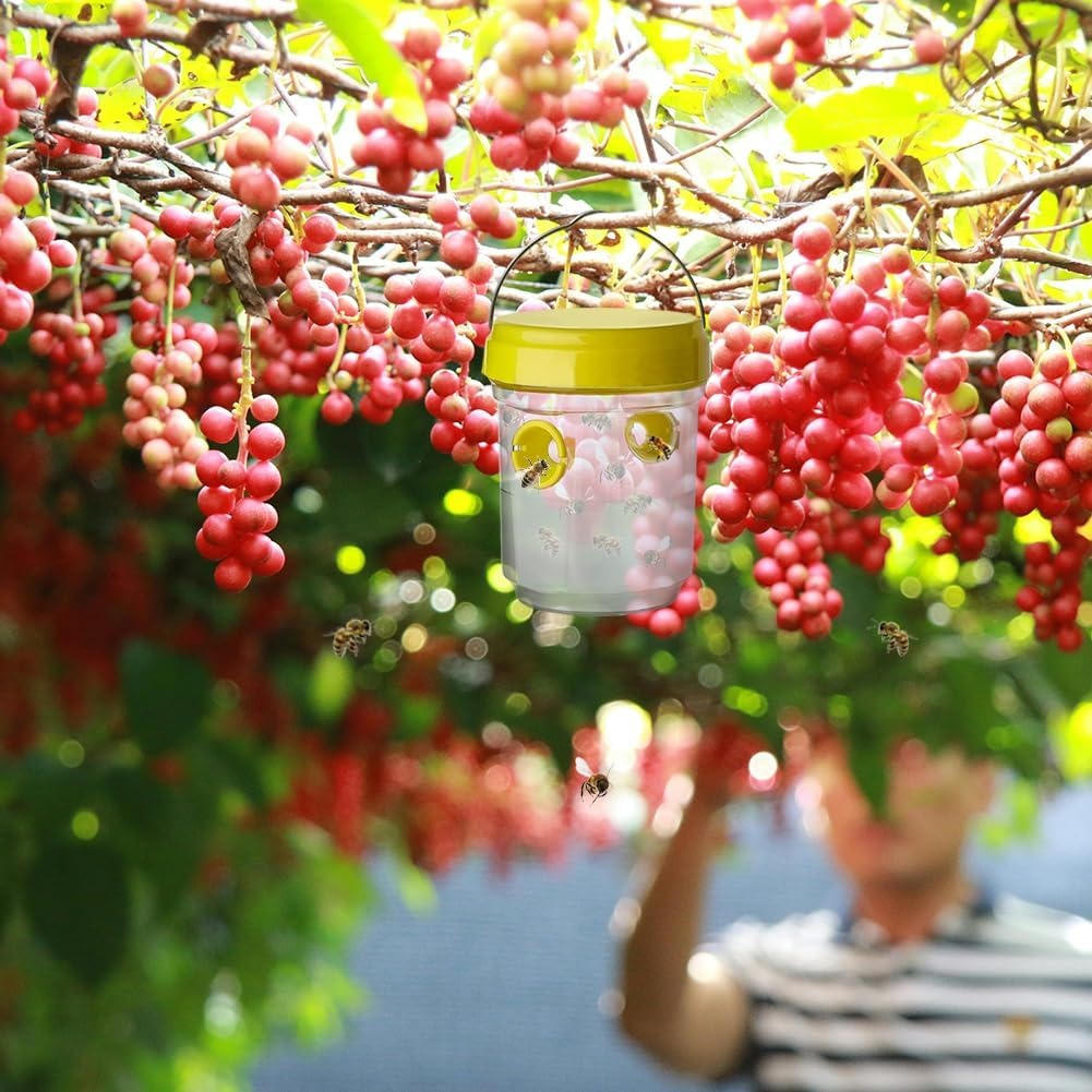 Insect Fruit Fly Traps for Kitchen