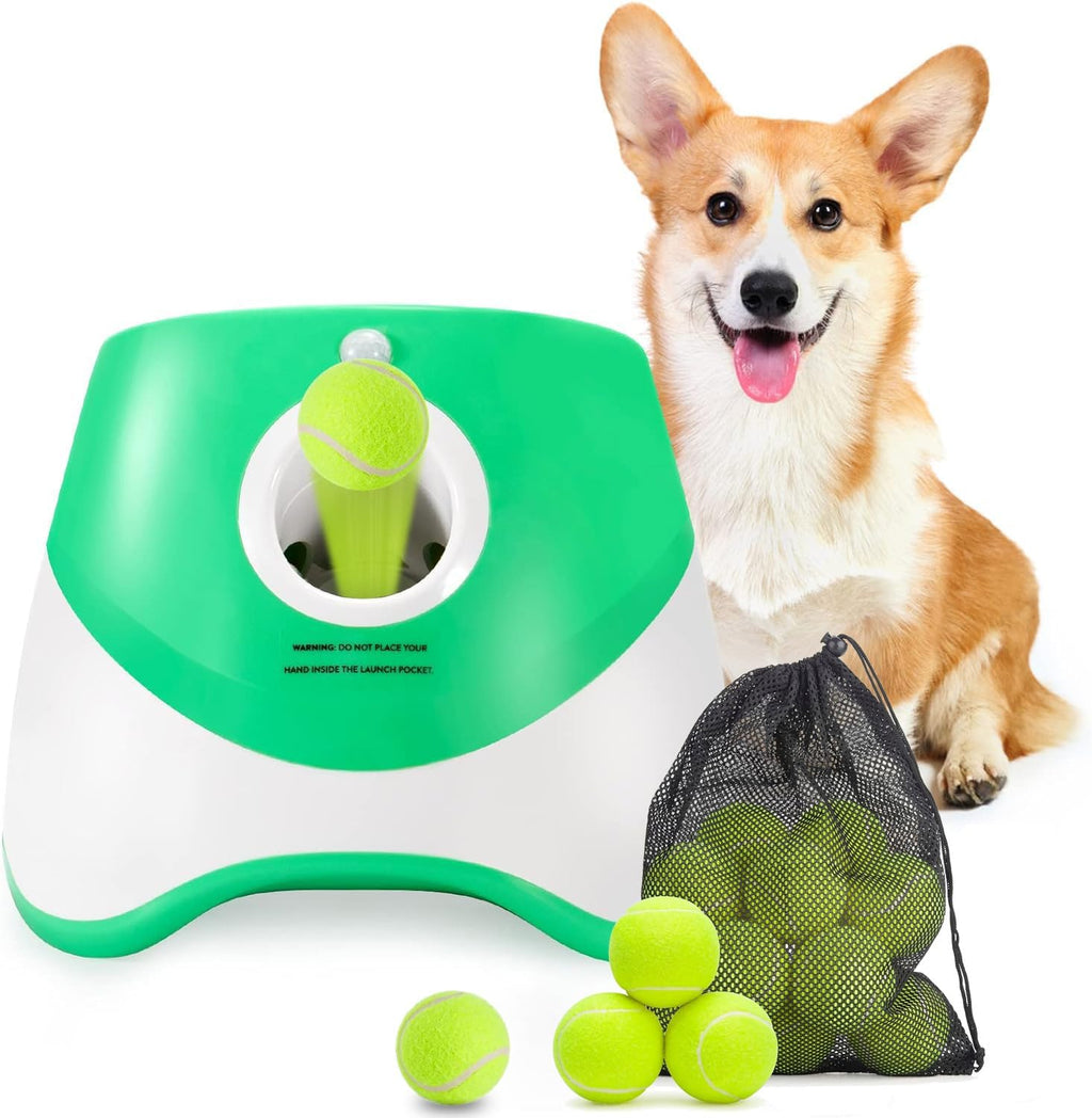 Automatic Dog Ball Thrower