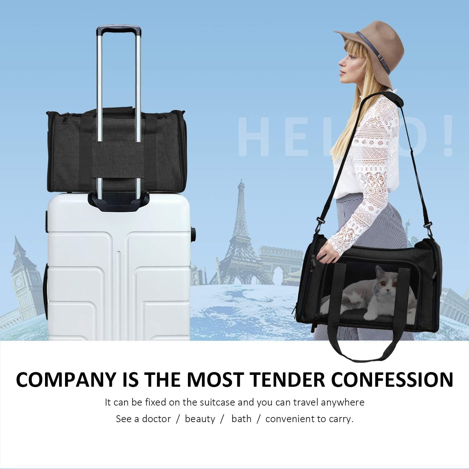 Airline-Approved Soft Dog & Cat Carrier