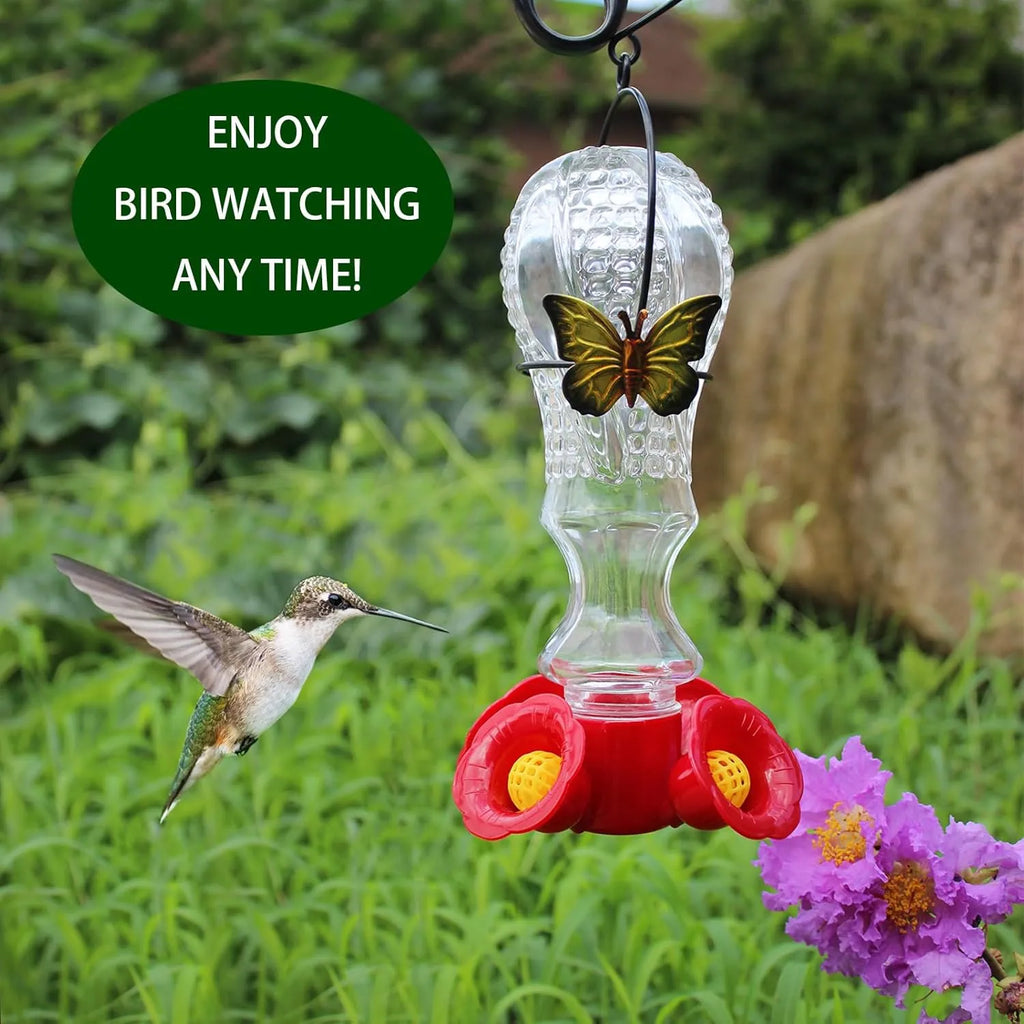 Glass Hummingbird Feeder with Ant Moat