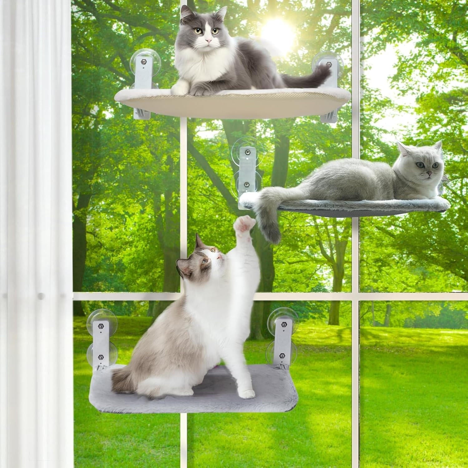 Cat Hammock Window Perch