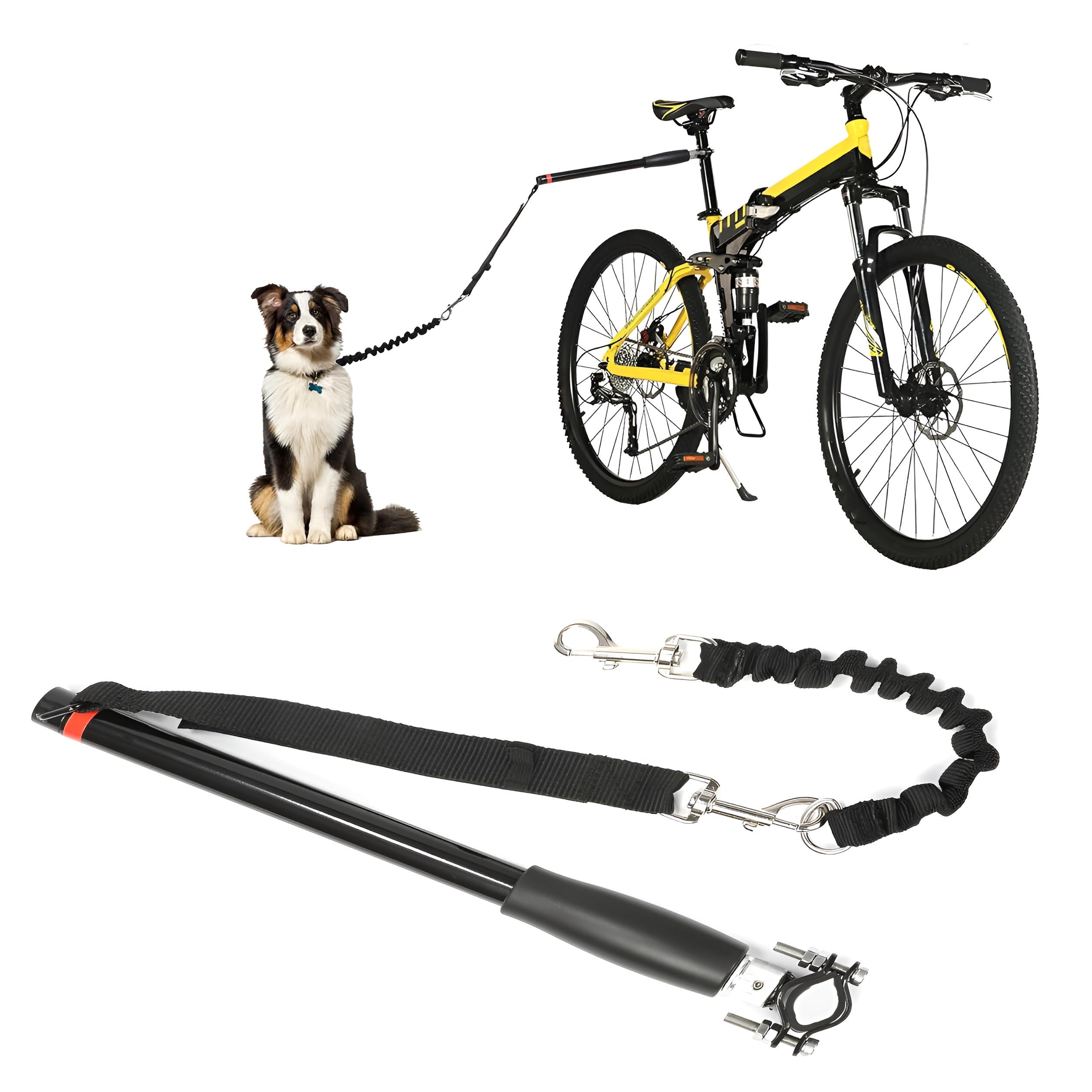 Hands-Free Bike Dog Tow Leash