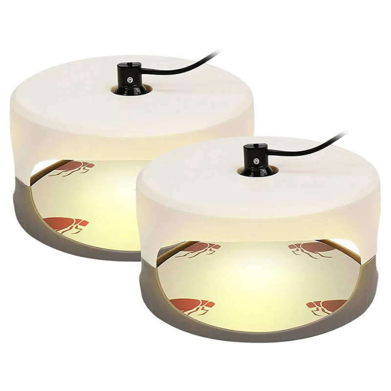 Reusable Indoor Bed Bug Interceptor Traps
