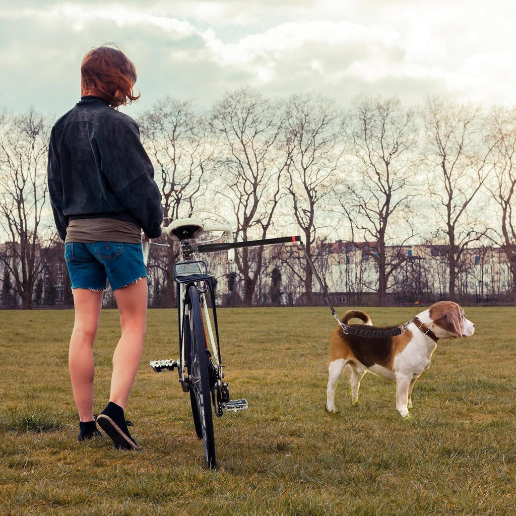 Hands-Free Bike Dog Tow Leash