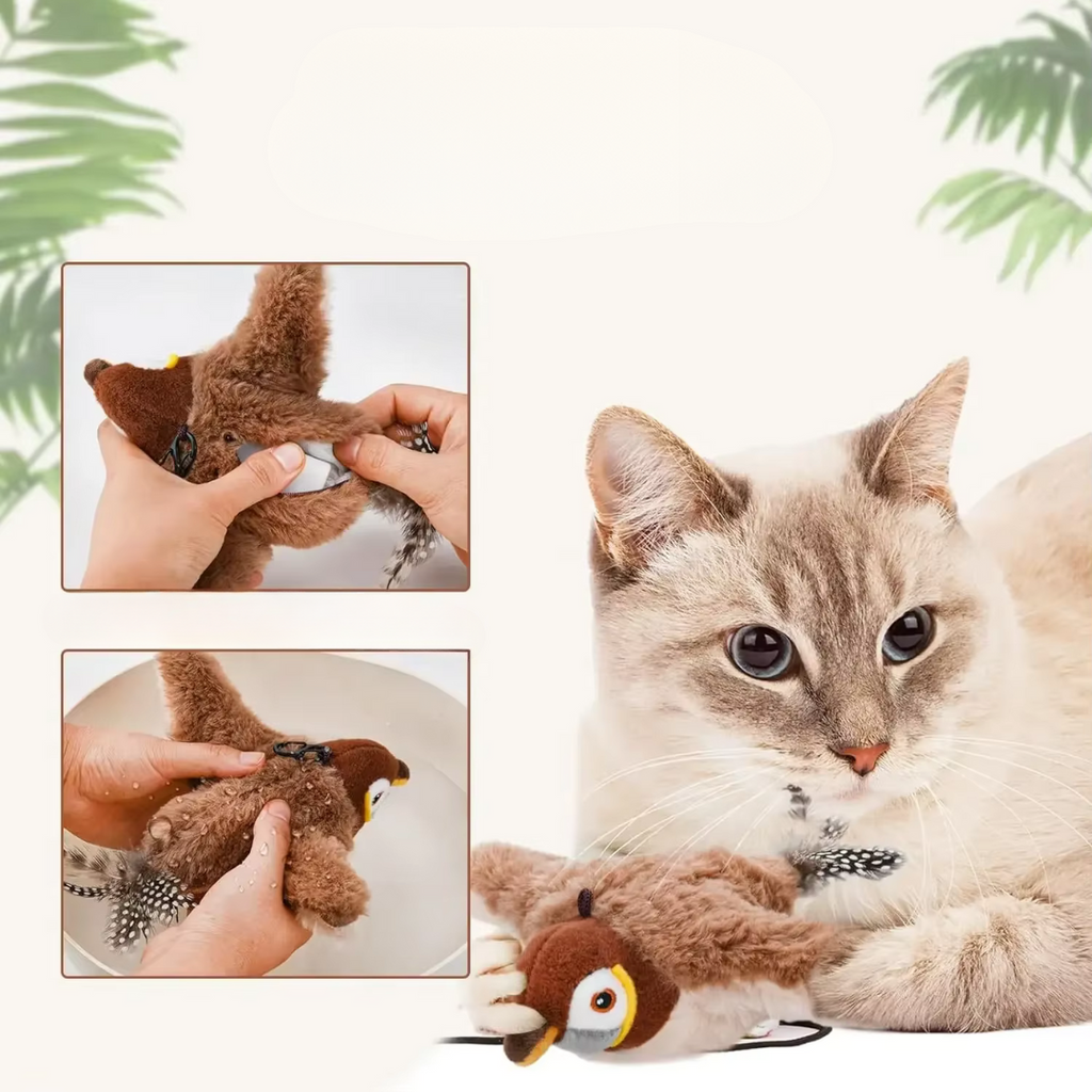 Fluttering Bird Interactive Cat Toy