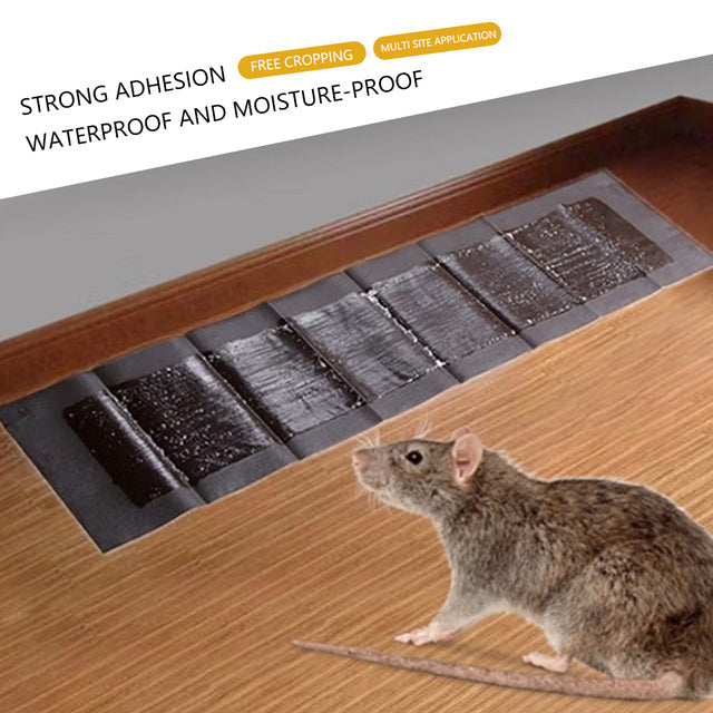 Extra-Large Glue Pads for Mice & Rats (5 Pack)