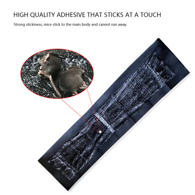 Extra-Large Glue Pads for Mice & Rats (5 Pack)