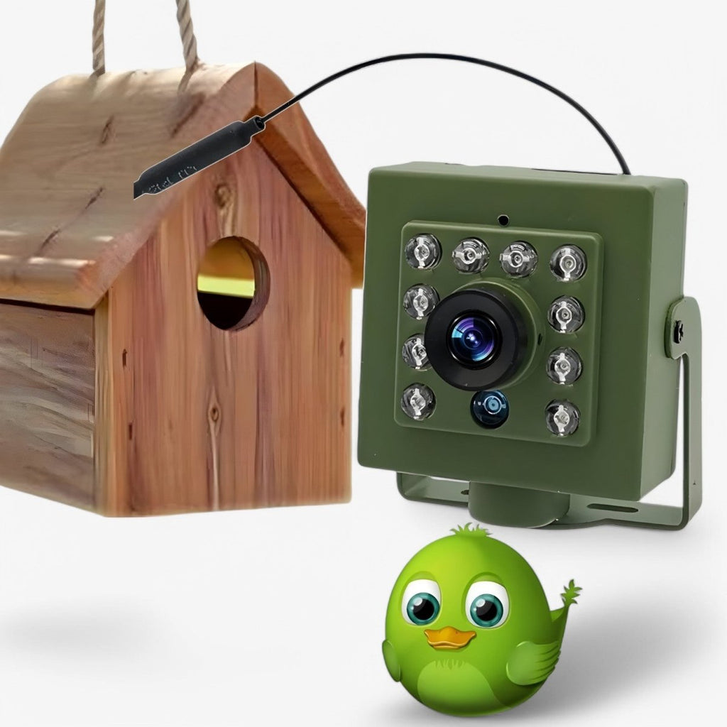 1080p HD Weatherproof Wildlife Camera