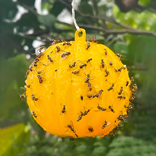 Hanging Fly Trap with Adhesive Layer, 6 Pcs