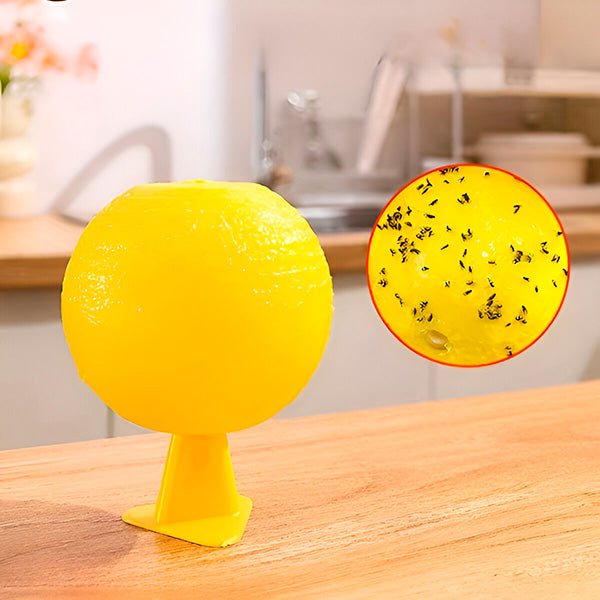 Hanging Fly Trap with Adhesive Layer, 6 Pcs