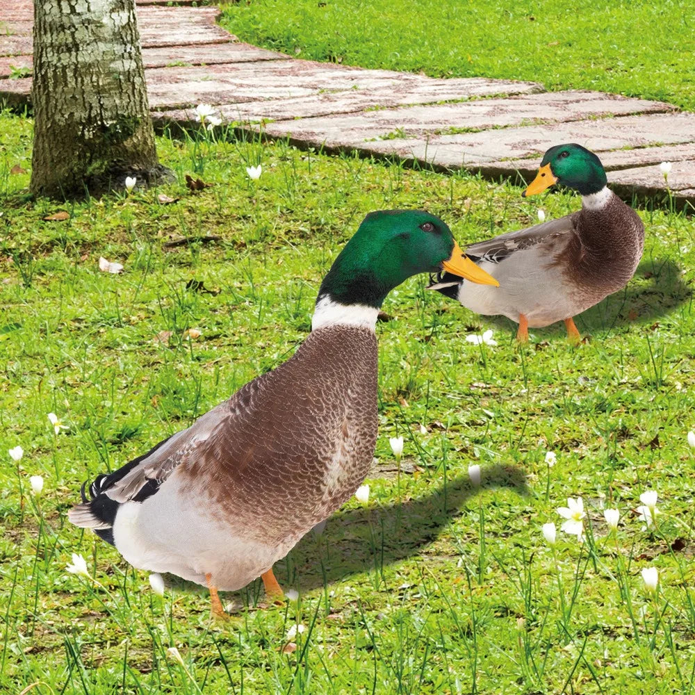 Double-Sided Outdoor Duck Garden Decoration