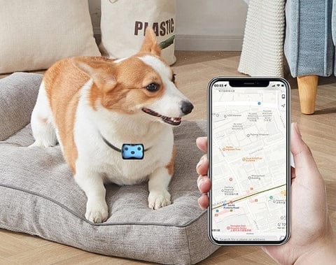 GPS Tracker Collar for Dogs